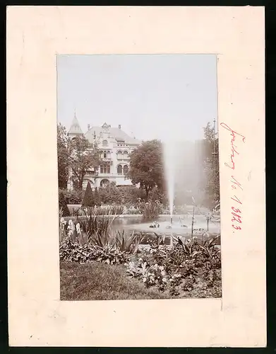Fotografie Brück & Sohn Meissen, Ansicht Freiberg i. Sa., Partie im König-Albert-Park mit Fontaine