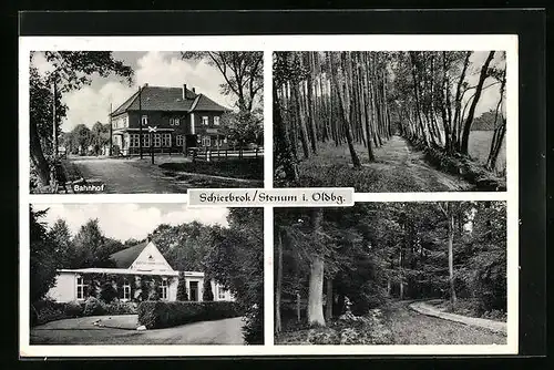 AK Schierbrok b. Stenum, Ortspartie mit Bahnhof, Waldpartie