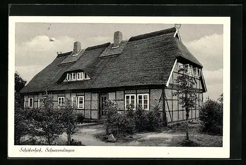 AK Schneverdingen, Blick auf das Gasthaus Der Schäferhof