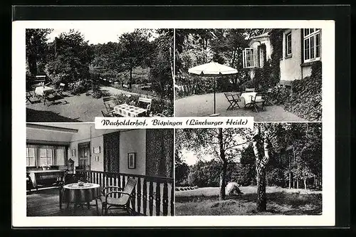 AK Bispingen, Gasthaus Wacholderhof, Aussen- und Innenansicht