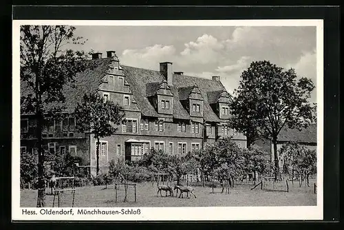 AK Hess. Oldendorf, Partie am Münchhausen-Schloss, Ponys