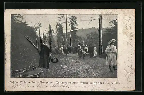 AK Müngsten, Fichtenallee, Zerstörung durch Wirbelsturm am 14. August 1906