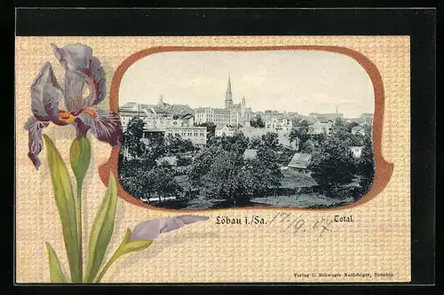 AK Löbau i. Sa., Totalansicht mit Kirche
