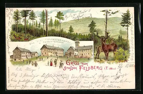 Lithographie Feldberg, Ortsansicht mit Feldbergthurm