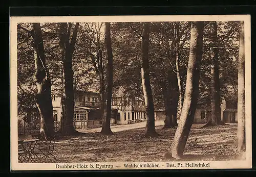 AK Drübber-Holz b. Eystrup, Gasthaus Waldschlösschen mit Waldterrassen