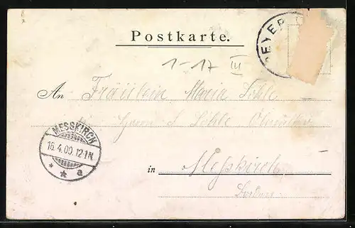 Lithographie Speyer, Totalansicht mit Dom