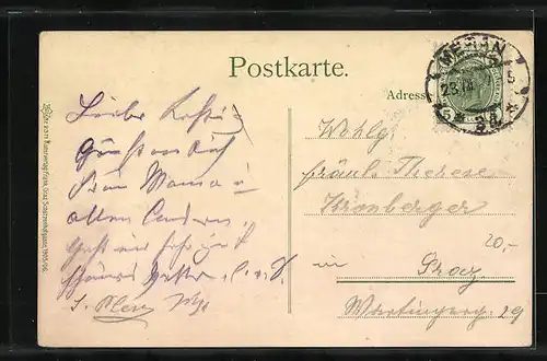 AK Meran, Ortsansicht und Junge in Tracht mit Traubenkorb