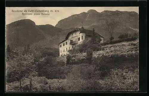 AK Appiano /Bolzano, Pensione de Lutz-Liebenburg