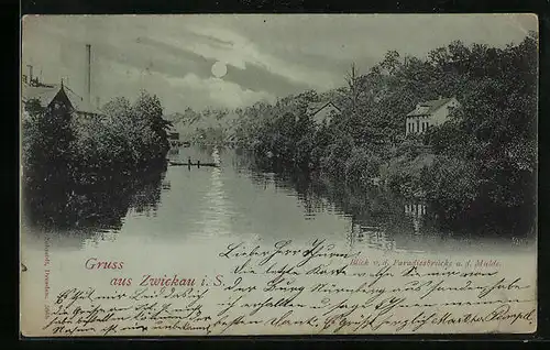 Mondschein-AK Zwickau /Sa., Blick von der Paradiesbrücke a. d. Mulde