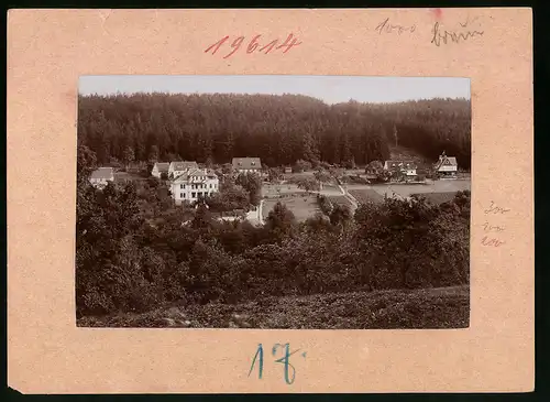 Fotografie Brück & Sohn Meissen, Ansicht Zwiesel-Berggiesshübel, Blick auf den Ort mit Wohnhäusern