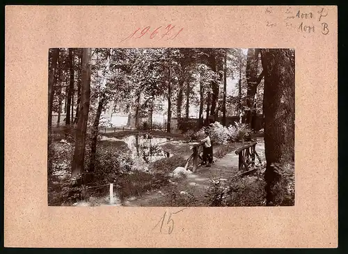 Fotografie Brück & Sohn Meissen, Ansicht Hainichen i. Sa., Partie aus dem Stadtwald, Knabe schaut auf den Teich