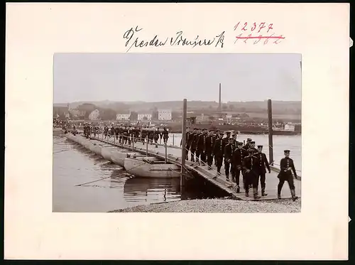 Fotografie Brück & Sohn Meissen, Ansicht Dresden, 1. Kgl. Sächs. Pionier-Bataillon Nr. 12 auf Schiffsbrücke im Bau