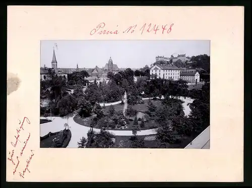 Fotografie Brück & Sohn Meissen, Ansicht Pirna, Blick auf den Friedenspark und Schloss Sonnenstein