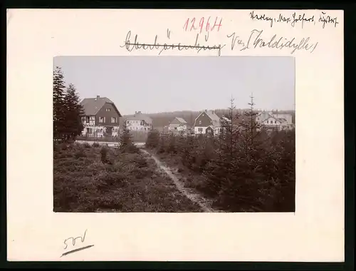 Fotografie Brück & Sohn Meissen, Ansicht Oberbärenburg i. Erzg., Blick auf die Wohnhäuser im Waldidylle