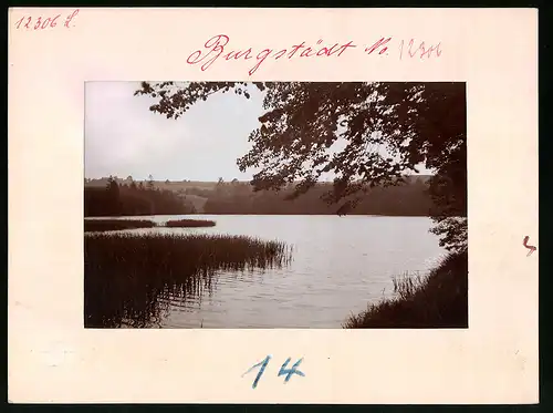 Fotografie Brück & Sohn Meissen, Ansicht Burgstädt i. Sa., Partie an der Höllmühle, Blick auf den See