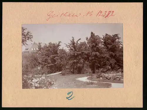 Fotografie Brück & Sohn Meissen, Ansicht Geithain, Partie im Stadtpark mit Blick auf ein Wohnhaus