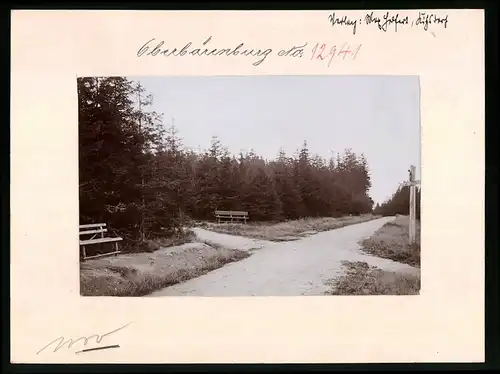 Fotografie Brück & Sohn Meissen, Ansicht Oberbärenburg i. Erzg., Waldweg mit Kreuzung und Weganzeiger zum Gasthaus