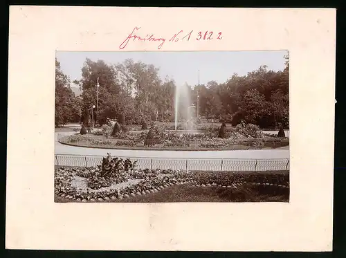 Fotografie Brück & Sohn Meissen, Ansicht Freiberg i. Sa., Blick auf die Anlagen im König-Albert-Park mit Fontaine