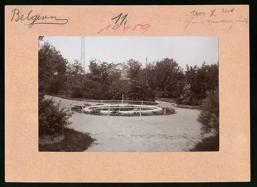 Fotografie Brück & Sohn Meissen, Ansicht Belgern / Elbe, Partie im Park mit Blick auf das Bismarckdenkmal