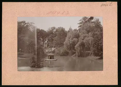 Fotografie Brück & Sohn Meissen, Ansicht Wurzen, Partie am Teich im Stadtpark mit Fontaine und Entenhäuschen