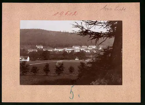 Fotografie Brück & Sohn Meissen, Ansicht Berggiesshübel, Blick auf die Kolonie am Ladenberg