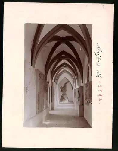 Fotografie Brück & Sohn Meissen, Ansicht Meissen i. Sa., Grabmal in den Kreuzgängen des Franziskaner Kloster