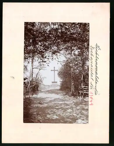 Fotografie Brück & Sohn Meissen, Ansicht Lichtenwalde i. Sa., Partie am Körnerkreuz auf dem Harrasfelsen