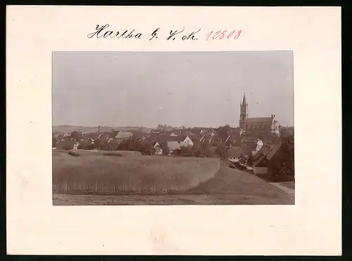 Fotografie Brück & Sohn Meissen, Ansicht Bad Hartha, Blick auf die Stadt vom Feld aus gesehen
