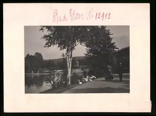 Fotografie Brück & Sohn Meissen, Ansicht Bad Elster, Partie am Louisasee mit Schwänen und Blick zum Pavillon