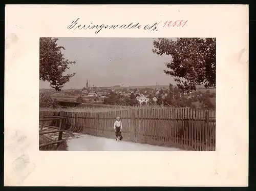 Fotografie Brück & Sohn Meissen, Ansicht Geringswalde, Knabe posiet am Zaun mit Blick zur Stadt