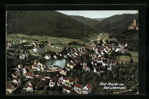 AK Bad Liebenzell, Totalansicht aus der Vogelschau