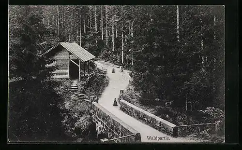 AK Freudenstadt, Waldpartie mit Hütte