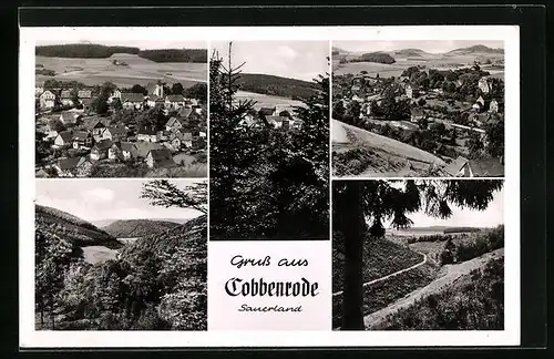 AK Cobbenrode /Sauerland, Ortsansicht mit bewaldeter Landschaft