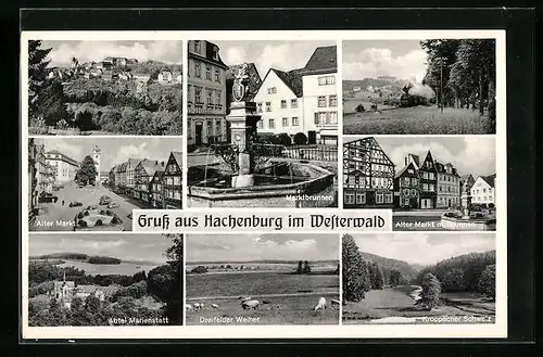 AK Hachenburg /Westerwald, Marktbrunnen, Abtei Marienstatt, Kroppacher Schweiz