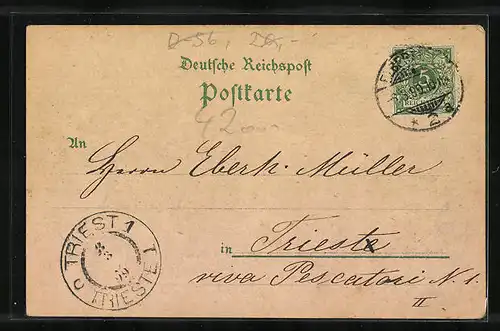 Lithographie Elberfeld, Partie am Victoriapletz, Stadthalle auf dem Johannisberg