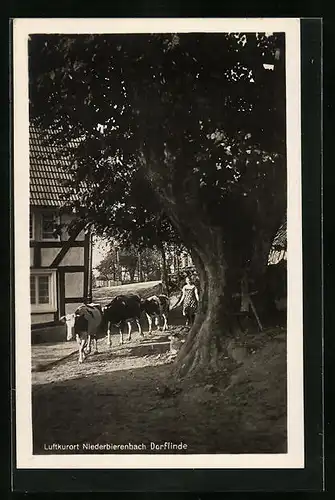 AK Niederbierenbach, Dorflinde mit Rindern
