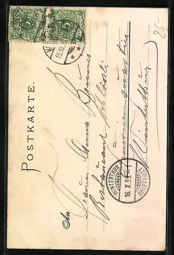 Lithographie Konstanz, Ansicht des Münsters