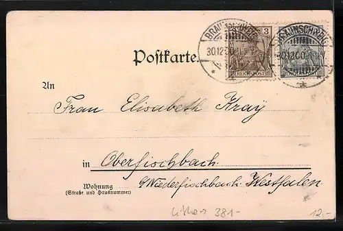 Lithographie Braunschweig, Totalansicht aus der Vogelschau, Wappen