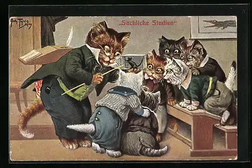 Künstler-AK Arthur Thiele: Sachliche Studien, Katzenlehrer unterrichtet Schüler, vermenschlichte Tiere