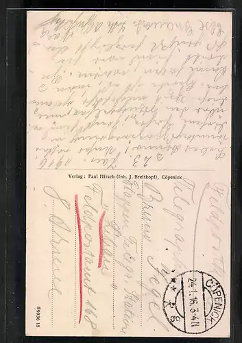 AK Berlin-Köpenick, Blick auf die Bismarckwarte