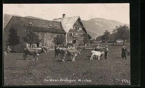AK Nesslau, Kurhaus Hedinger mit Rindern