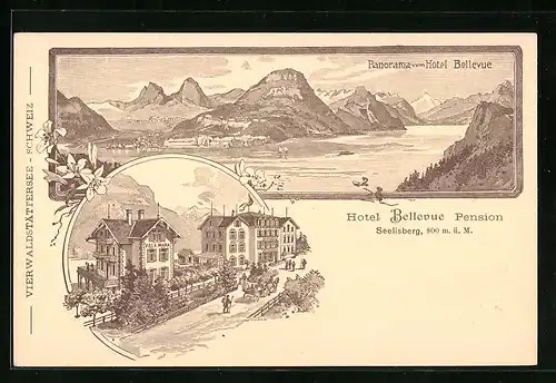 Lithographie Seelisberg, Hotel und Pension Bellevue mit Strasse von oben, Panorama des Ortes vom Hotel Bellevue