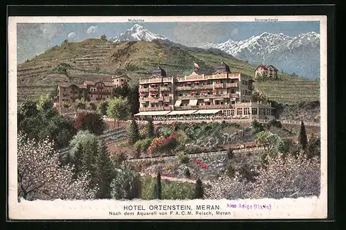 Künstler-AK F.A.C.M. Reisch: Meran, Hotel Ortenstein mit Mutspitze und Spronserberge