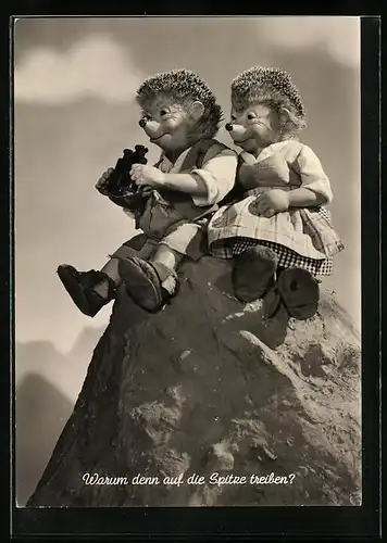 AK Warum denn auf die Spitze treiben?, Mecki mit Fernglas und Frauf auf Felsen