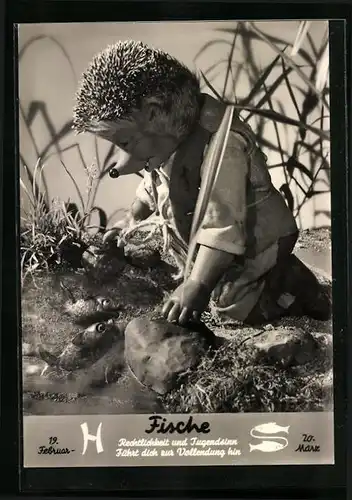 AK Sternzeichen Fische, Mecki kniet am Fischteich