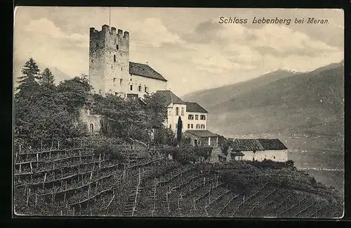 AK Meran, Gesamtansicht vom Schloss Lebenberg