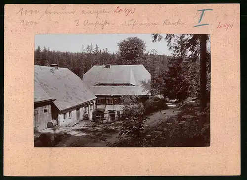Fotografie Brück & Sohn Meissen, Ansicht Grossschweidnitz, Blick auf die Höllengrundmühle