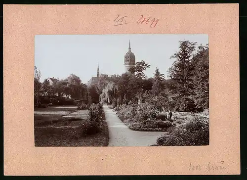 Fotografie Brück & Sohn Meissen, Ansicht Wittenberg / Elbe, Partie im Stadtpark mit Schlosskirche
