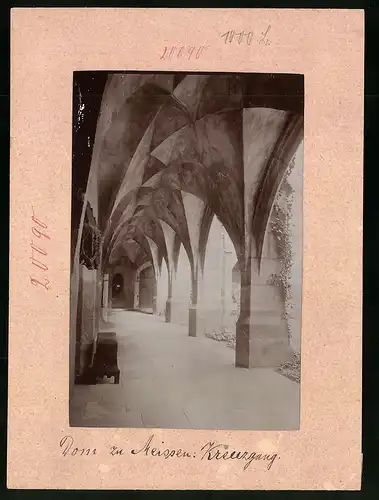 Fotografie Brück & Sohn Meissen, Ansicht Meissen i. Sa., Blick in den Kreuzgang im Dom