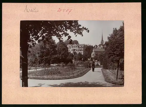 Fotografie Brück & Sohn Meissen, Ansicht Bad Elster, Partie im Rosengarten mit Blick auf Haus Rheingold